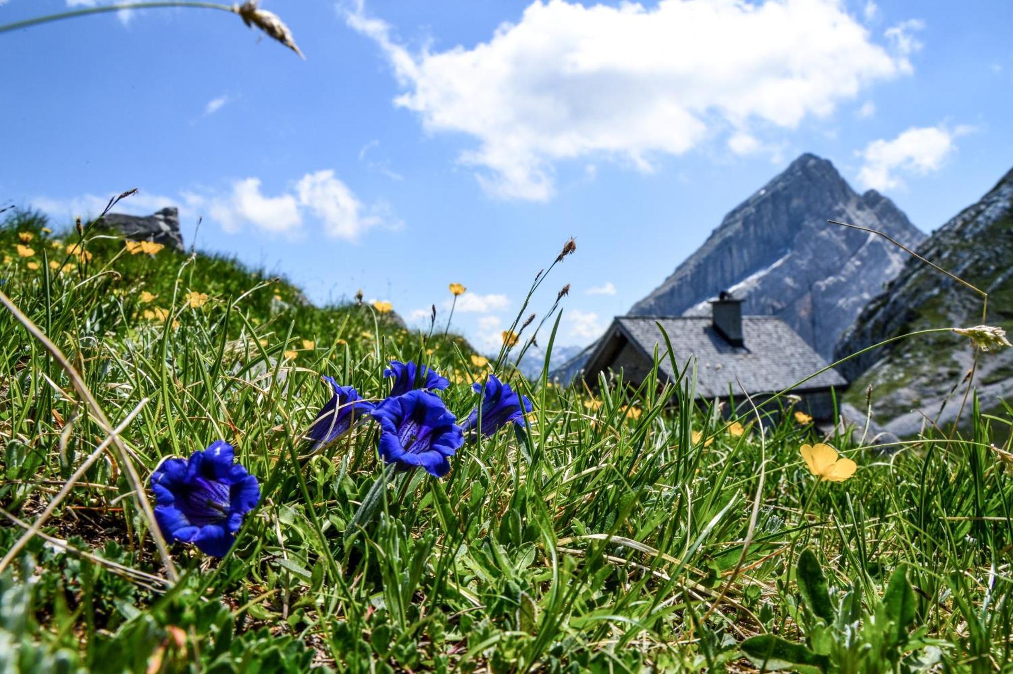 Ferienwohnung Fagstein Schönau am Königssee Eksteriør billede